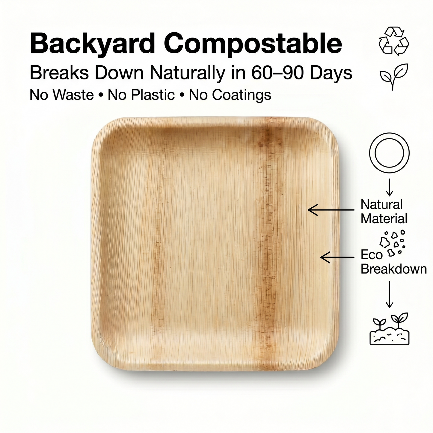 10-Inch Square Palm Leaf Plates | 50 Pack | Compostable Dinnerware for Events – EcoChef