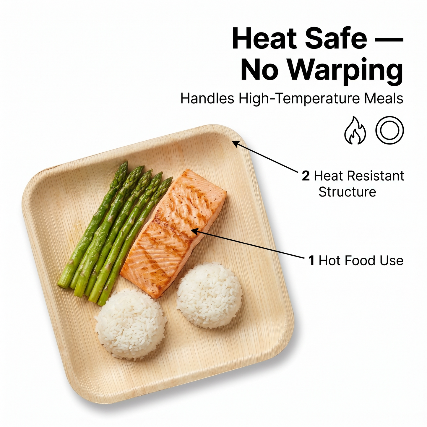 8" Square Compostable Lunch Plates | Palm Leaf Plates (Pack of 50) – EcoChef